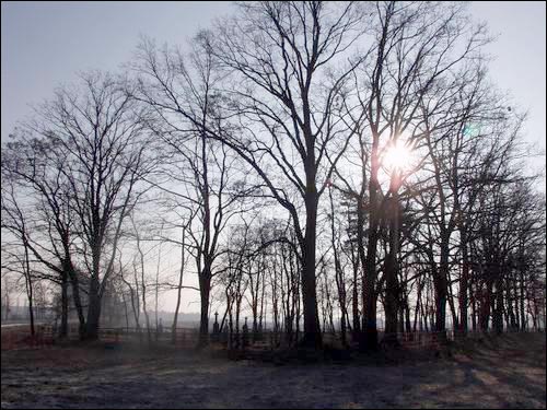 Малые Щитники. Кладбище старое католическое