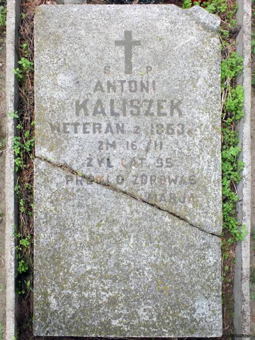 Малые Щитники. Кладбище старое католическое