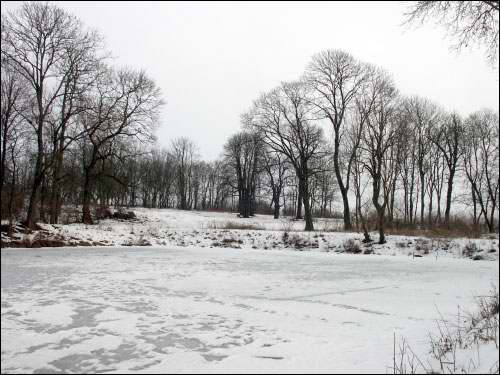 Wielamowicze. Park dworski 