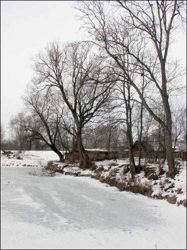 Wielamowicze. Park dworski 