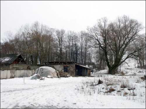 Wielamowicze. Park dworski 