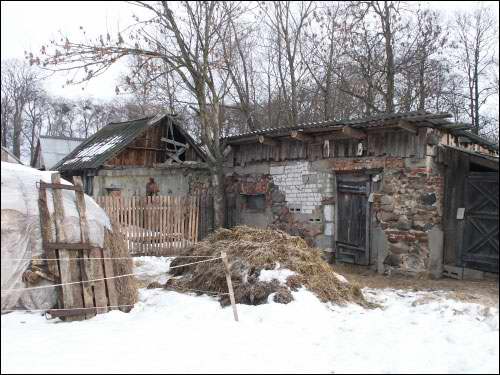 Wielamowicze. Park dworski 