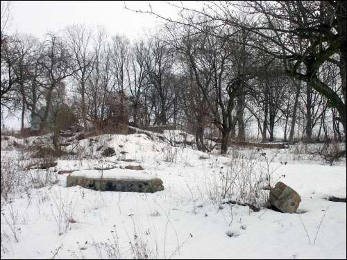 Wielamowicze. Park dworski 