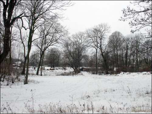 Wielamowicze. Park dworski 