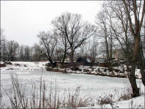 Wielamowicze. Park dworski 