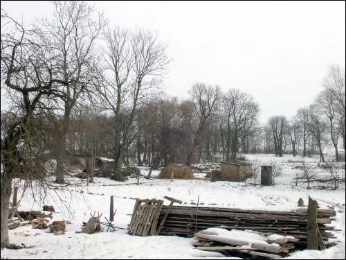 Wielamowicze. Park dworski 