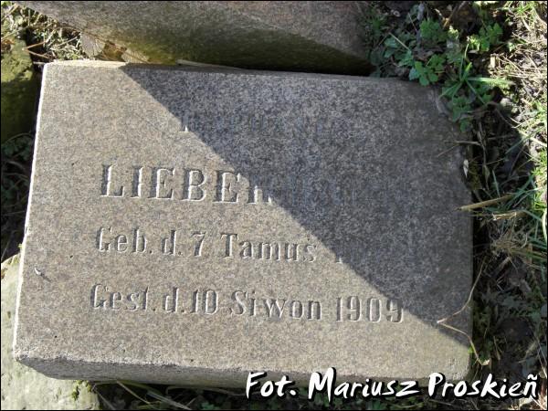  - Кладбище еврейское. 