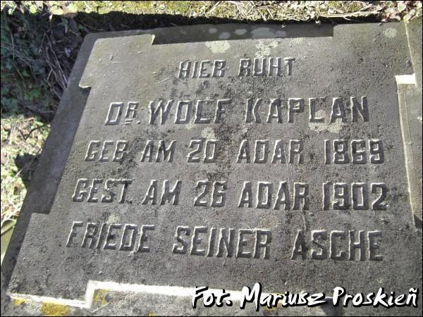  - Кладбище еврейское. 