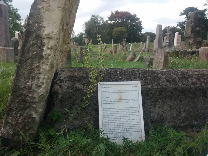  - Кладбище еврейское. 