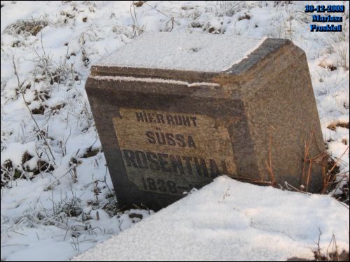  - Кладбище еврейское. 