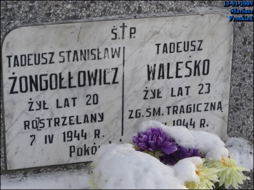 Białystok. Cmentarz stary katolicki (św. Rocha)