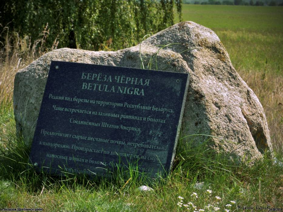 Biezdziež. In the village 