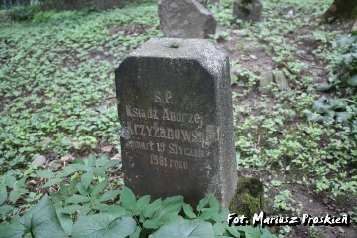  - Cmentarz stary katolicki. 
