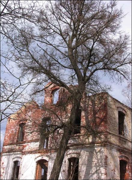 Арэхаўск (Выдрыца). Сядзіба 
