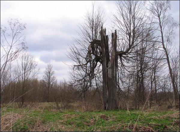 Арэхаўск (Выдрыца). Сядзіба 