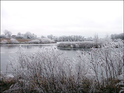  - Manor of Lubienski. 