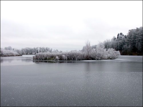  - Manor of Lubienski. 