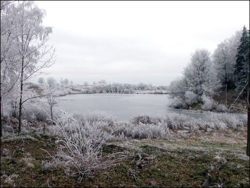  - Manor of Lubienski. 