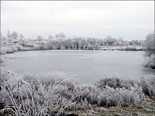  - Manor of Lubienski. 