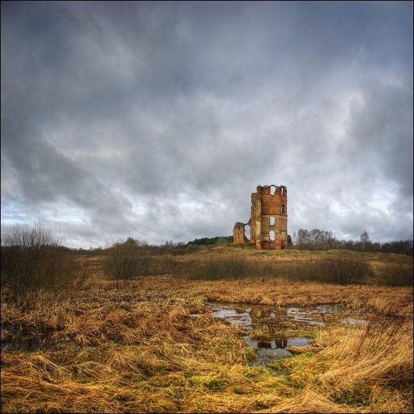 The ruins of the castle (11/2009) Smalany.  White Kovel Castle, ruins