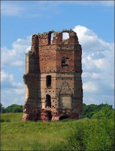 Ruins of the castle in Smalany Smalany.  White Kovel Castle, ruins