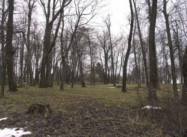 Высокае. Сядзібна-паркавы ансамбль Макшыцкіх