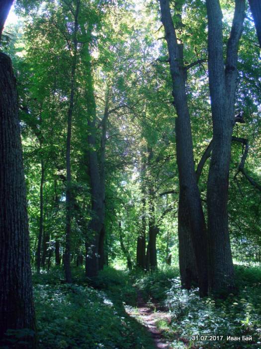 Dvor Nizgałava. Manor of Miadźviedzki (Niedźwiedzcki)