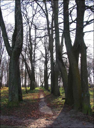 Dvor Nizgałava. Manor of Miadźviedzki (Niedźwiedzcki)