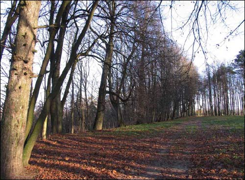 Dvor Nizgałava. Manor of Miadźviedzki (Niedźwiedzcki)