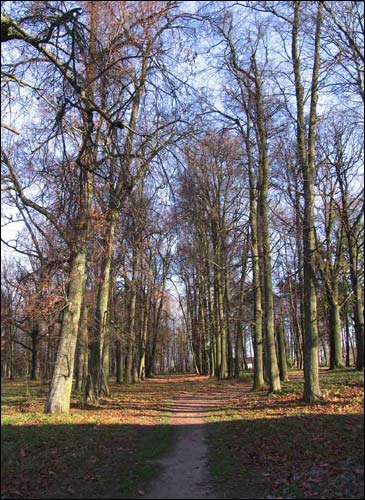 Dvor Nizgałava. Manor of Miadźviedzki (Niedźwiedzcki)