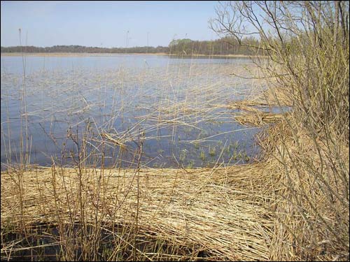 Богіна. Краявіды 