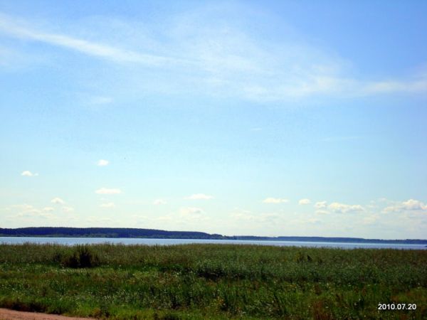 - Краявіды . 