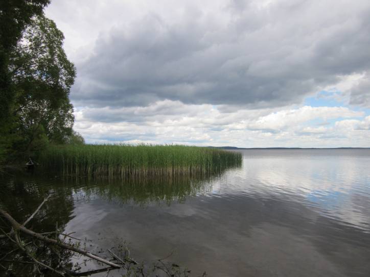  - Краявіды . 