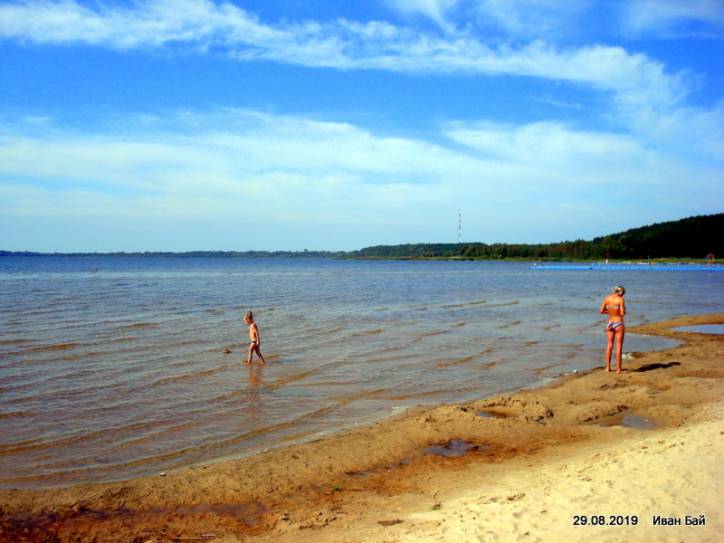  - Краявіды . 