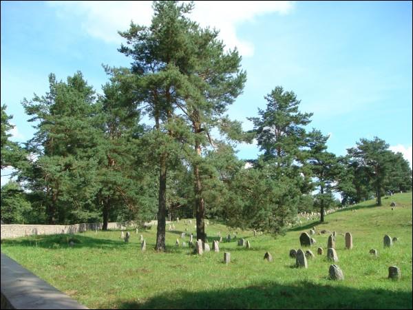 Druja. cemetery Jewish