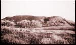 Drysviaty Site of ancient castle 