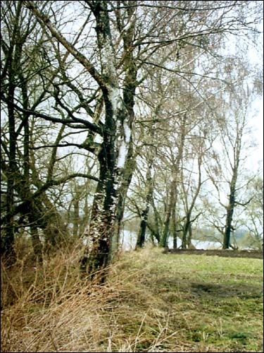 Drysviaty. Farmstead of Łopacinski