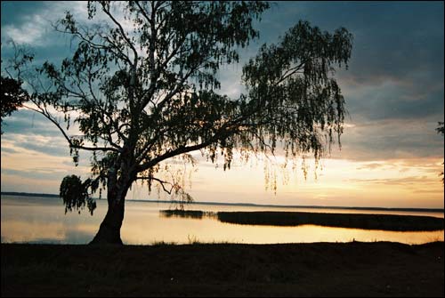 Dryświaty. Krajobrazy 