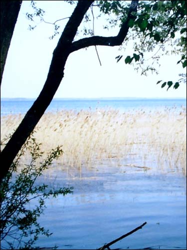 Dryświaty. Krajobrazy 