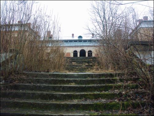  - Zespół dworsko-parkowy Platerów. Widok pałacu od strony jeziora Opsa, na pierwszym planie zniszczone schody tarasowe
