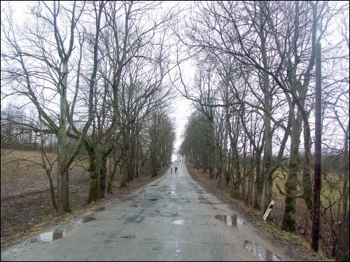 Прысада да опсаўскай сядзібы Плятэраў Опса. Краявіды