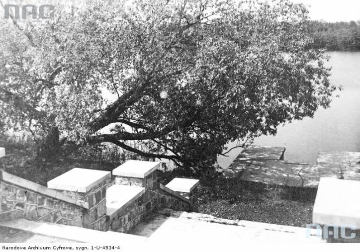 Опса. Мястэчка на старых фотаздымках 