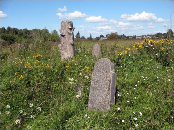 Widze. Cmentarz żydowski