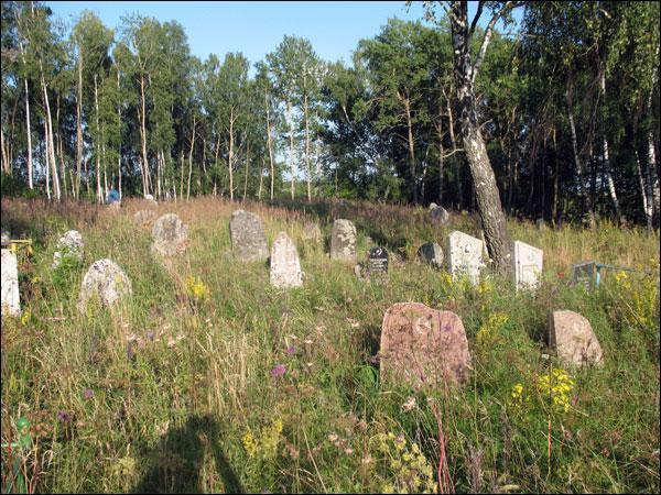 Widze. Cmentarz tatarski (Mizer)