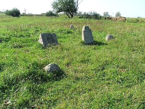 Czereja. Cmentarz żydowski
