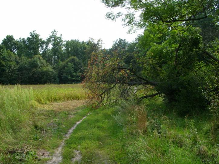 Suličava. Manor park Hrudkovičy