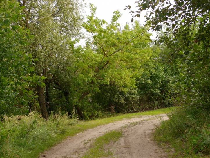 Suličava. Manor park Hrudkovičy