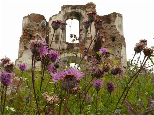 Pačajevičy. Orthodox church of the Protection of the Holy Virgin