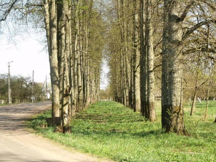 Бярозаўка. Прысядзібны парк  Бярозаўка. Прысядзібны парк
