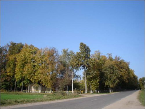 Парк. Від з паўднёва-усходняга боку Бярозаўка. Прысядзібны парк
